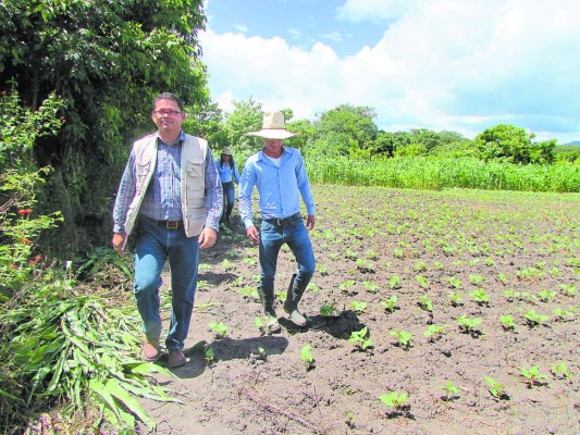 Impulsan la producción agrícola en centros escolares
