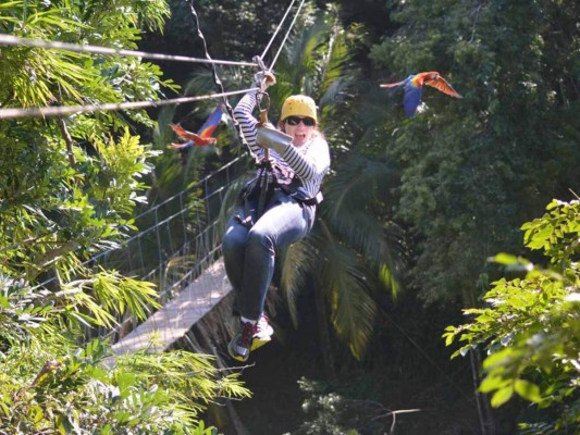 Aventura para explorar la vida silvestre en Roatán