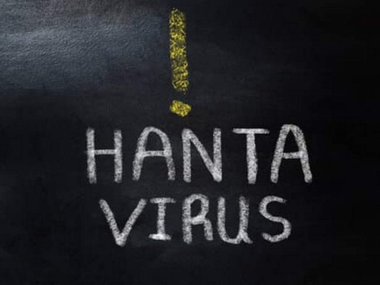 10 datos sobre el hantavirus, enfermedad transmitida por roedores