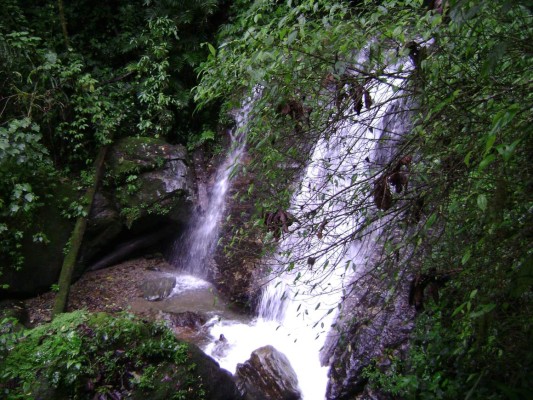 Fértil y muy variada, conozca la ruta agroturística de Comayagua