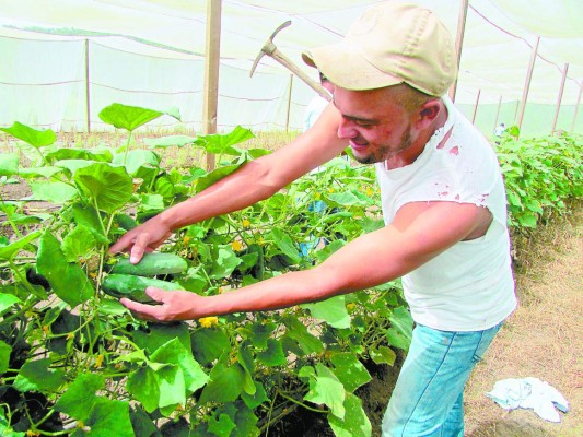Un proyecto campesino cautiva a estudiantes de agronomía