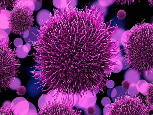 Las 20 epidemias más devastadoras y mortíferas de la historia