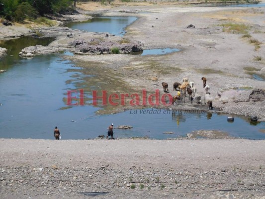 Además del coronavirus, Choluteca enfrenta otra emergencia por sequía