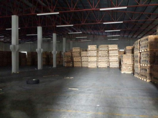 Honduras: Hallan segunda bodega con regletas rellenas de droga