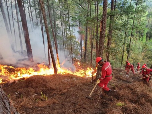 Las imágenes del incendio que afectó consulado de Portugal en El Hatillo