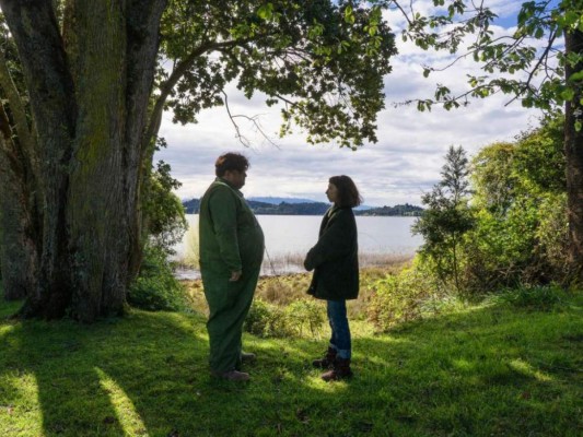 Las mejores películas de Netflix en 2020 ¿Ya las viste?&nbsp;&nbsp;