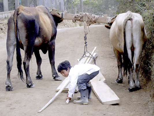 ONG de El Salvador gestiona remodelación de escuela y centro de salud en Nahuaterique