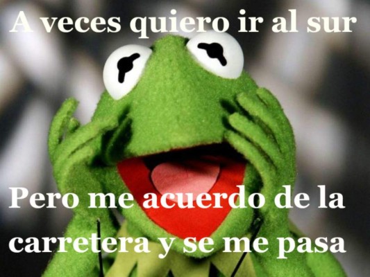 Los divertidos memes sobre la cola por la construcción de la carretera al sur