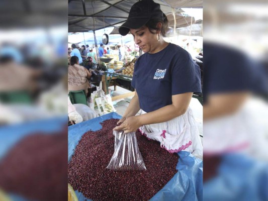 Honduras: Sube tres lempiras la medida de frijoles