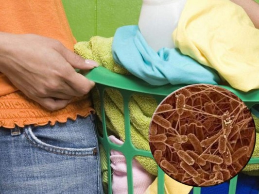 Mantener la ropa limpia es importante para evitar la proliferación y desarrollo de las bacterias.