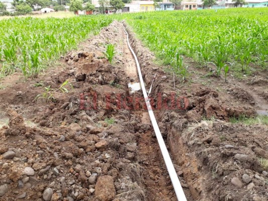 Auditoría de la Secretaría de Agricultura y Ganadería investiga proyecto de riego de Jamastrán