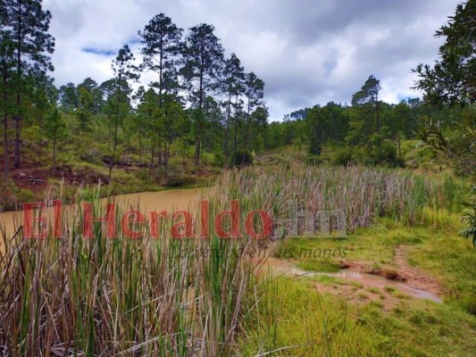 En familia y sofocando el calor: Así disfrutan los capitalinos del Feriado Morazánico