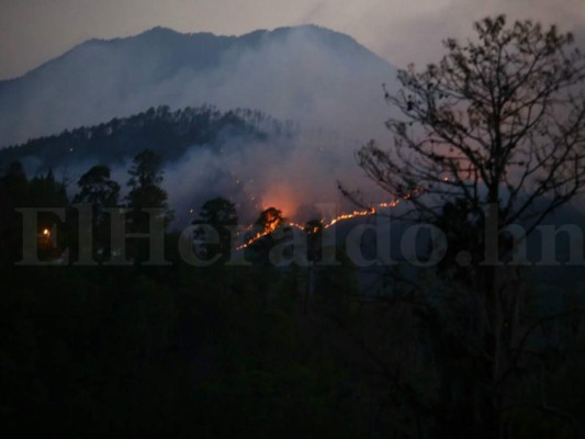 Honduras: Incendio amenaza ahora a montaña de La Tigra