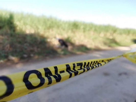 Encuentran un cadáver encostalado en la colonia Obrera