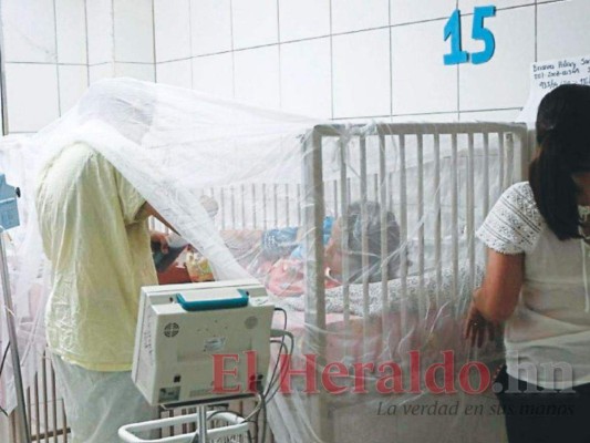Preocupación por aumento de casos de dengue en Honduras