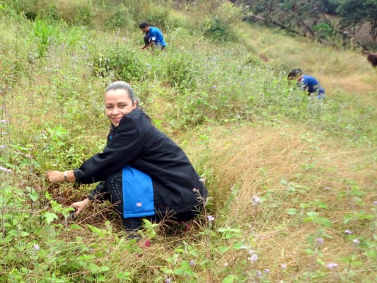 Grupo Opsa al rescate de reserva forestal la Tigra en trabajos de reforestación.