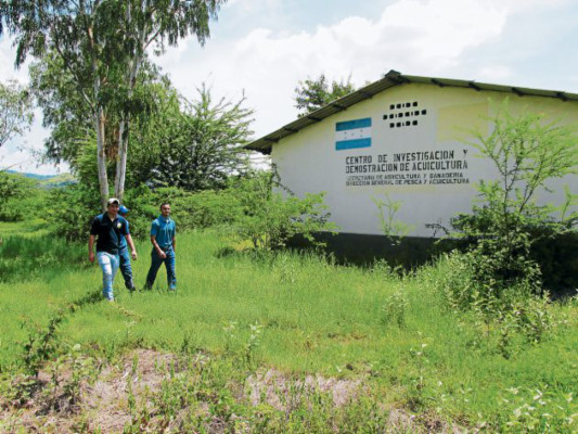 Reactivan investigaciones en centro acuícola de San Lorenzo