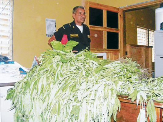 A los 12 años inician consumo de drogas en El Paraíso