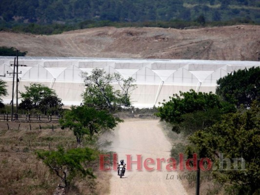 Próspera, Morazán, Orquídea o Agroalpha ¿Qué Zede tomará más territorio de Honduras?