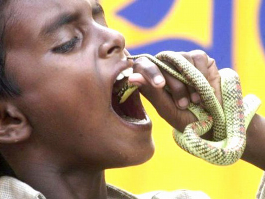 Niño mastica culebra