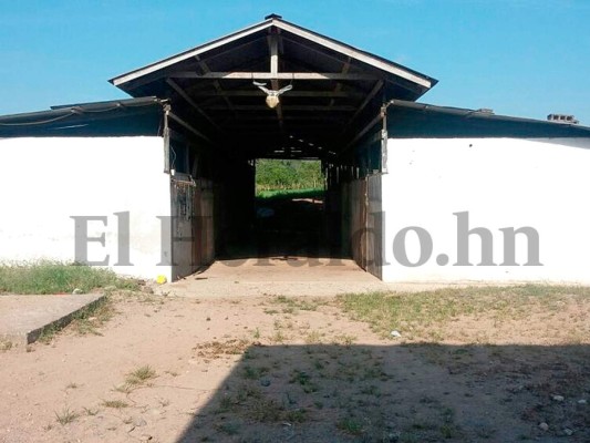 Honduras: Incautan 20 bienes en La Ceiba y Tocoa