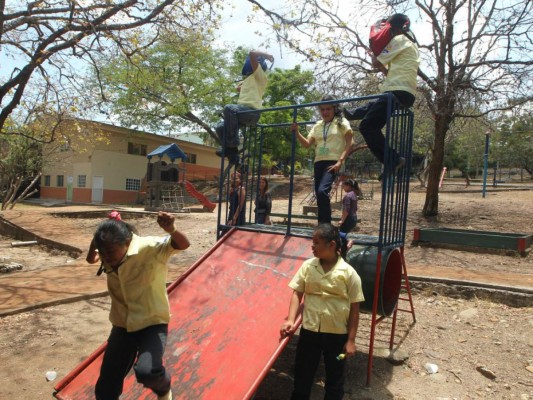 El plan educativo verde es marcado por la solidaridad