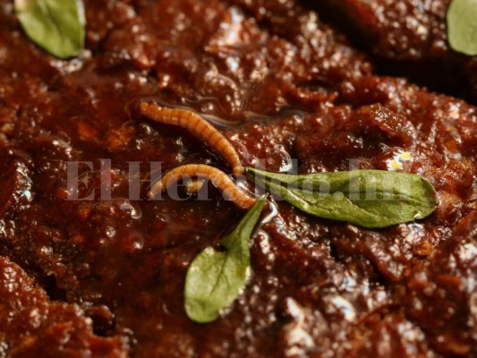 UNAH trabaja en alimentación a base de insectos