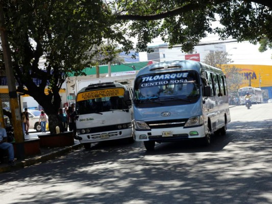 En la ilegalidad más de 900 unidades del transporte capitalino