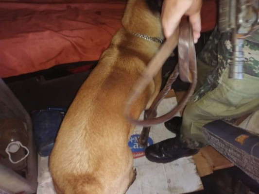 Unos 52 paquetes de droga hallaron escondidos en camión cisterna (FOTOS)