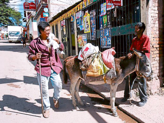 Costumbres rurales sobreviven en los barrios y colonias