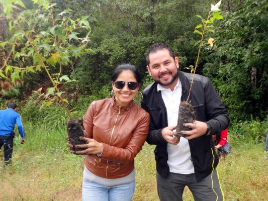 Grupo Opsa al rescate de reserva forestal la Tigra en trabajos de reforestación.