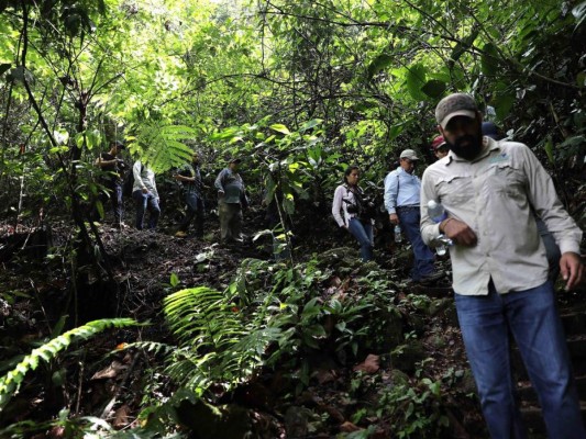 Lago Fest: un paraíso para senderismo, kayak y avistamiento de aves