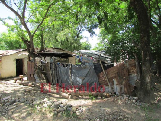 El 42.7% de hogares hondureños están por debajo de línea de pobreza