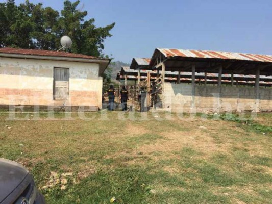 Honduras: Incautan bienes y finca a yerno de Arnulfo Valle Valle en Operación Estigia en Morazán, Yoro