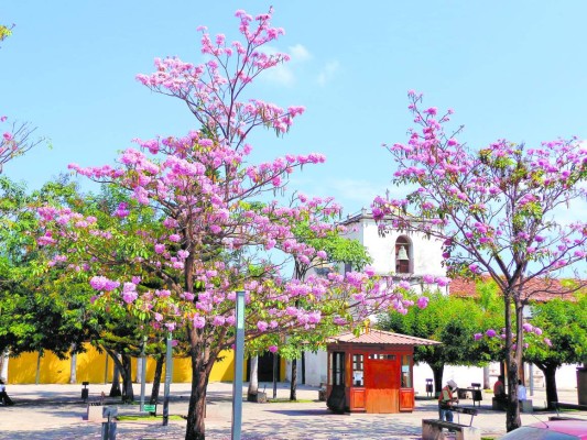 Comayagua, tesoro colonial