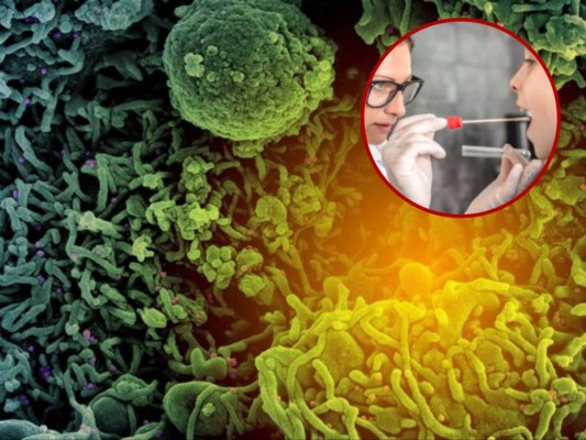 Ómicron daña menos los pulmones y afecta más la garganta, según estudio