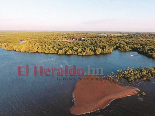 Apuestan por la recuperación de los recursos naturales del Golfo de Fonseca