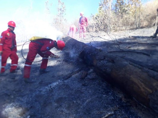 Incendio hizo arder el cerro El Trigo por 10 horas en la capital de Honduras