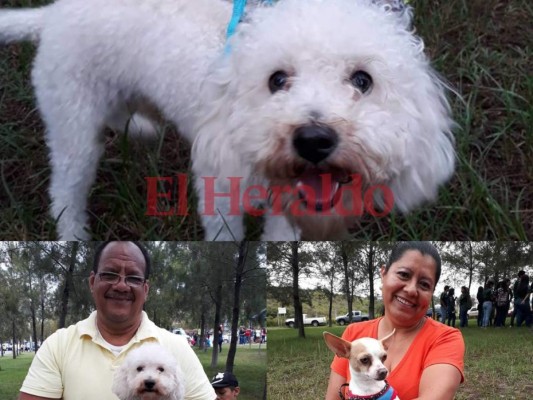 Beto y Spots, la huella canina en la Séptima Vuelta Ciclística de EL HERALDO