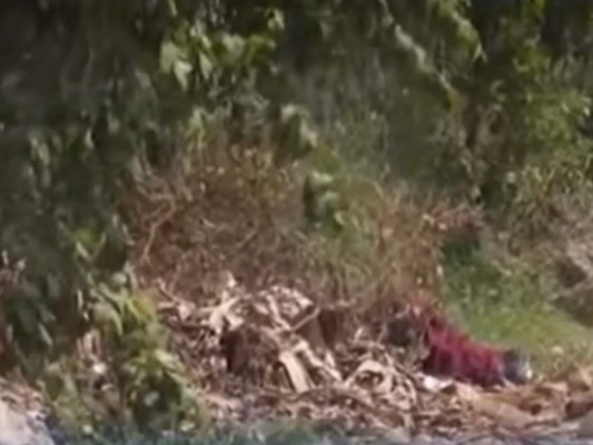Hallan cadáver envuelto en sábanas en San Pedro Sula&nbsp;&nbsp;