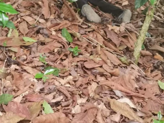 Masacres, el crimen de dos niños, captura de un extraditable y femicidios: Los sucesos de la semana