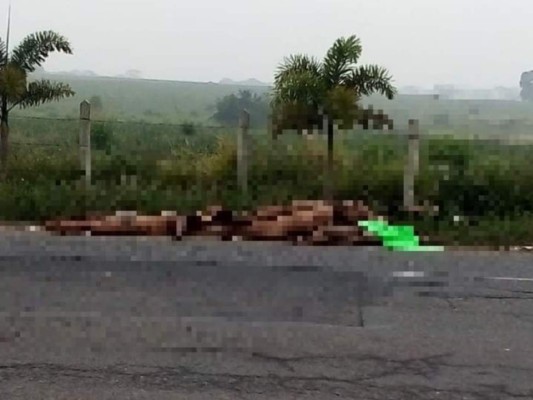 Hallan nueve cadáveres abandonados en un camino rural de Veracruz