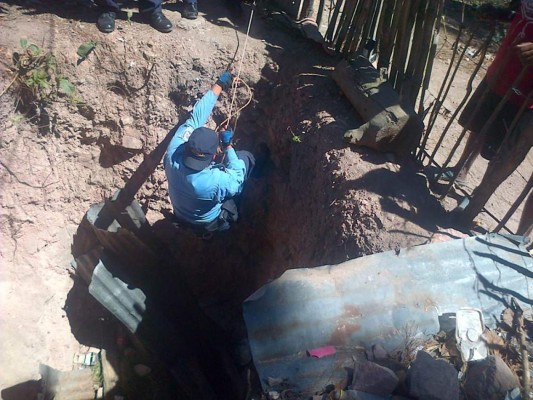 Honduras: El noble y valiente rescate de animales tras masacre en colonia Mirador de Oriente de la capital