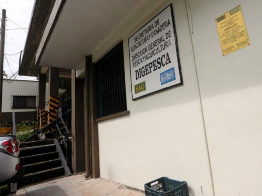 Sustraen informes para favorecer a barcos pepineros