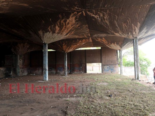 Las 10 mejores imágenes de la semana captadas por el lente de EL HERALDO