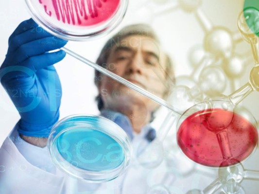 Descubren nuevo órgano que sería responsable de la propagación del cáncer