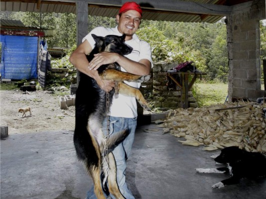 Amilcar Rivera, el aliado incondicional de 19 canes que él mismo ha recogido de las calles