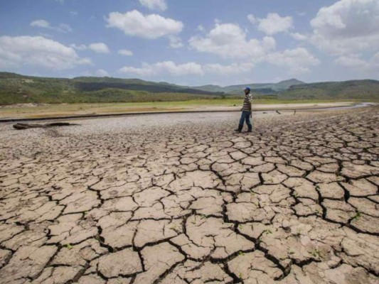 La crisis climática está afectando a varios países del mundo. Foto AFP