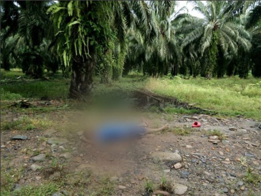 Matan a adolescente de 13 años en una finca del Bajo Aguán en Colón
