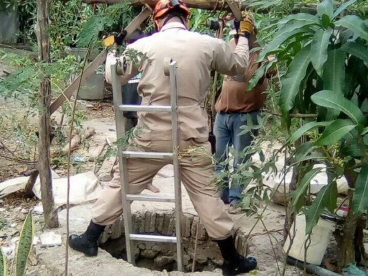 ¡HERMOSO! Bomberos arriesgan su vida para devolver un perrito a su familia